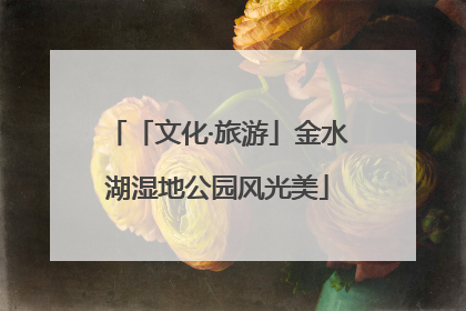 「文化·旅游」金水湖湿地公园风光美