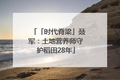 「时代脊梁」聂军：土地营养师守护稻田28年