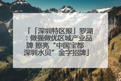 「深圳特区报」罗湖：做强做优区域产业品牌 擦亮“中国宝都 深圳水贝”金字招牌