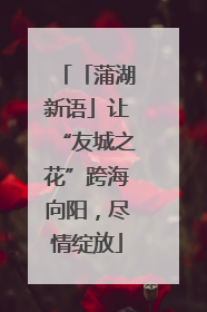「蒲湖新语」让“友城之花”跨海向阳，尽情绽放