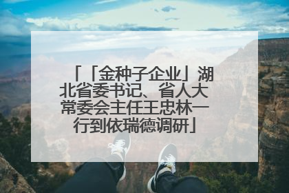 「金种子企业」湖北省委书记、省人大常委会主任王忠林一行到依瑞德调研