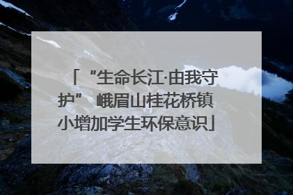 “生命长江·由我守护” 峨眉山桂花桥镇小增加学生环保意识