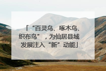 “百灵鸟、啄木鸟、织布鸟”，为仙居县域发展注入“新”动能