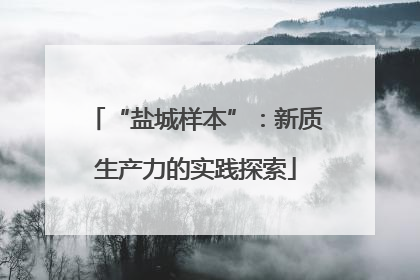 “盐城样本”：新质生产力的实践探索