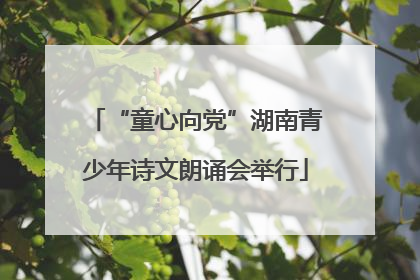 “童心向党”湖南青少年诗文朗诵会举行