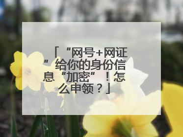“网号+网证”给你的身份信息“加密”！怎么申领？