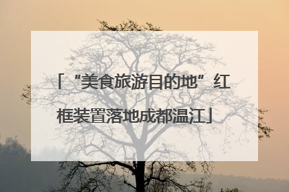 “美食旅游目的地”红框装置落地成都温江