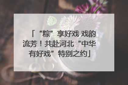 “粽”享好戏 戏韵流芳！共赴河北“中华有好戏”特别之约