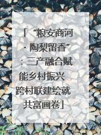 “粮安商河・陶梨留香”：三产融合赋能乡村振兴 跨村联建绘就共富画卷