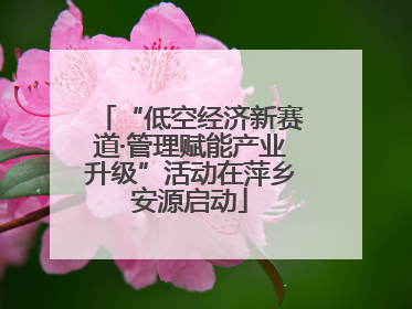 “低空经济新赛道·管理赋能产业升级”活动在萍乡安源启动