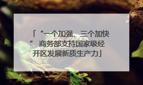 “一个加强、三个加快” 商务部支持国家级经开区发展新质生产力
