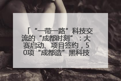 “一带一路”科技交流的“成都时刻”：大赛启动、项目签约，50项“成都造”黑科技吸引多国客商