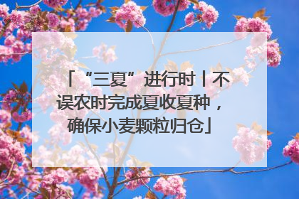 “三夏”进行时丨不误农时完成夏收夏种，确保小麦颗粒归仓