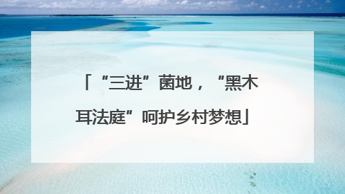 “三进”菌地，“黑木耳法庭”呵护乡村梦想