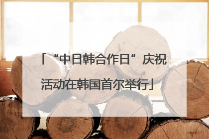 “中日韩合作日”庆祝活动在韩国首尔举行