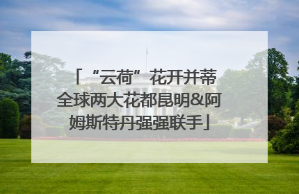 “云荷”花开并蒂 全球两大花都昆明&阿姆斯特丹强强联手