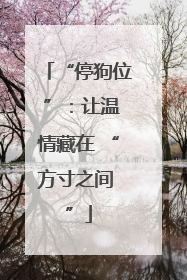 “停狗位 ”：让温情藏在 “方寸之间 ”