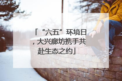 “六五”环境日，大兴廊坊携手共赴生态之约