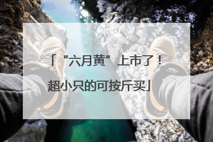 “六月黄”上市了！超小只的可按斤买