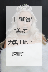 “加餐”“盖被” 为黑土地“增肥”