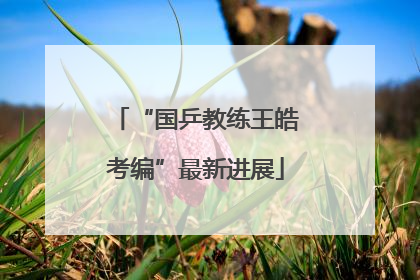 “国乒教练王皓考编”最新进展