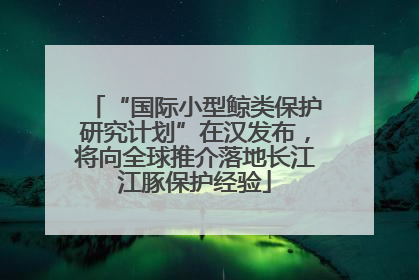 “国际小型鲸类保护研究计划”在汉发布，将向全球推介落地长江江豚保护经验