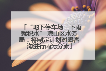 “地下停车场一下雨就积水” 琼山区水务局：将制定计划对墨客沟进行雨污分流