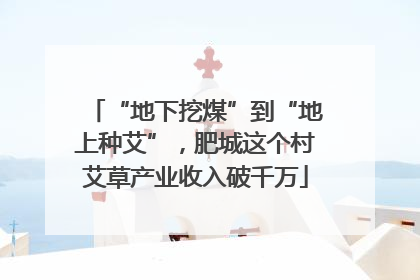 “地下挖煤”到“地上种艾”，肥城这个村艾草产业收入破千万