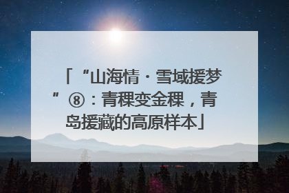 “山海情・雪域援梦”⑧：青稞变金稞，青岛援藏的高原样本
