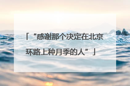 “感谢那个决定在北京环路上种月季的人”