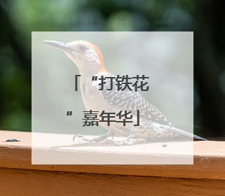 “打铁花”嘉年华