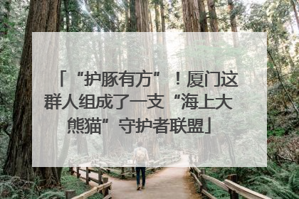 “护豚有方”！厦门这群人组成了一支“海上大熊猫”守护者联盟