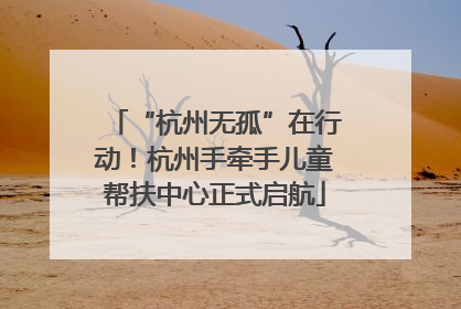 “杭州无孤”在行动！杭州手牵手儿童帮扶中心正式启航