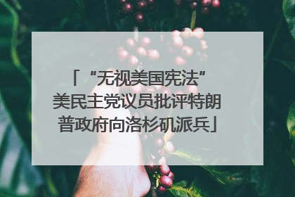 “无视美国宪法” 美民主党议员批评特朗普政府向洛杉矶派兵