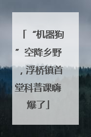 “机器狗”空降乡野，浮桥镇首堂科普课嗨爆了