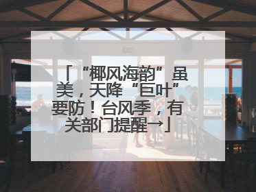 “椰风海韵”虽美，天降“巨叶”要防！台风季，有关部门提醒→