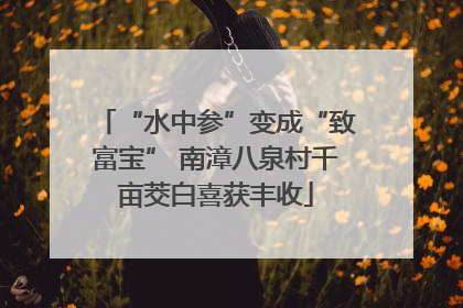 “水中参”变成“致富宝” 南漳八泉村千亩茭白喜获丰收