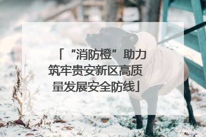 “消防橙”助力筑牢贵安新区高质量发展安全防线