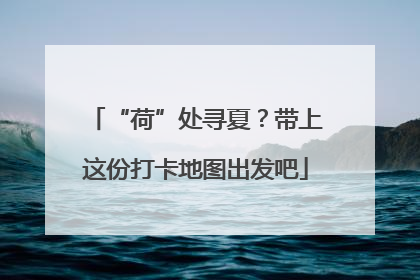 “荷”处寻夏？带上这份打卡地图出发吧