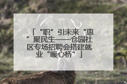 “职”引未来“惠”聚民生——仓园社区专场招聘会搭建就业“暖心桥”