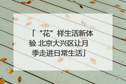 “花”样生活新体验 北京大兴区让月季走进日常生活