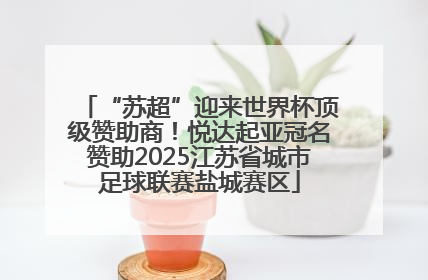 “苏超”迎来世界杯顶级赞助商！悦达起亚冠名赞助2025江苏省城市足球联赛盐城赛区