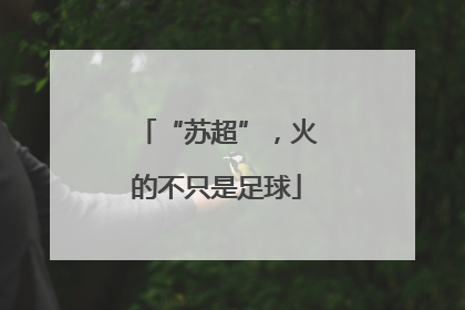 “苏超”，火的不只是足球