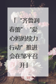 “齐鲁润春蕾”“爱心妈妈续力行动”推进会在邹平召开