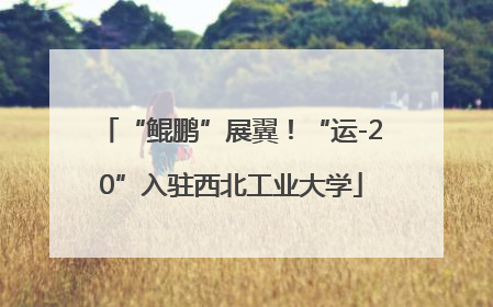 “鲲鹏”展翼！“运-20”入驻西北工业大学