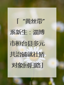 “黄丝带”系新生：淄博市桓台县多元共治铺就社矫对象回归路