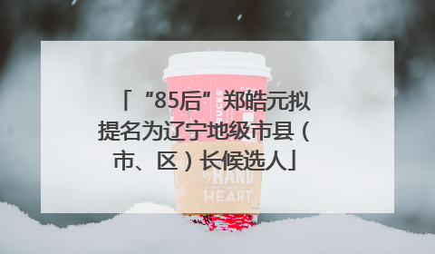 “85后”郑皓元拟提名为辽宁地级市县（市、区）长候选人