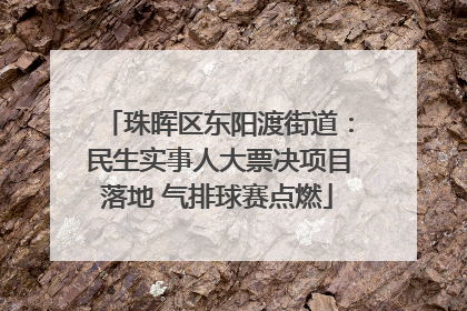 珠晖区东阳渡街道：民生实事人大票决项目落地 气排球赛点燃