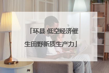 环县 低空经济催生田野新质生产力