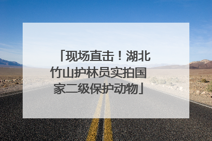 现场直击！湖北竹山护林员实拍国家二级保护动物